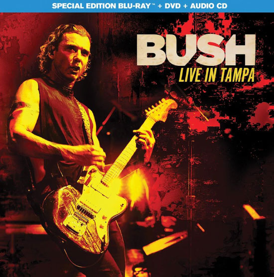 Bush 布什 – Live In Tampa (2020) 1080P蓝光原盘 [BDMV 23.1G]