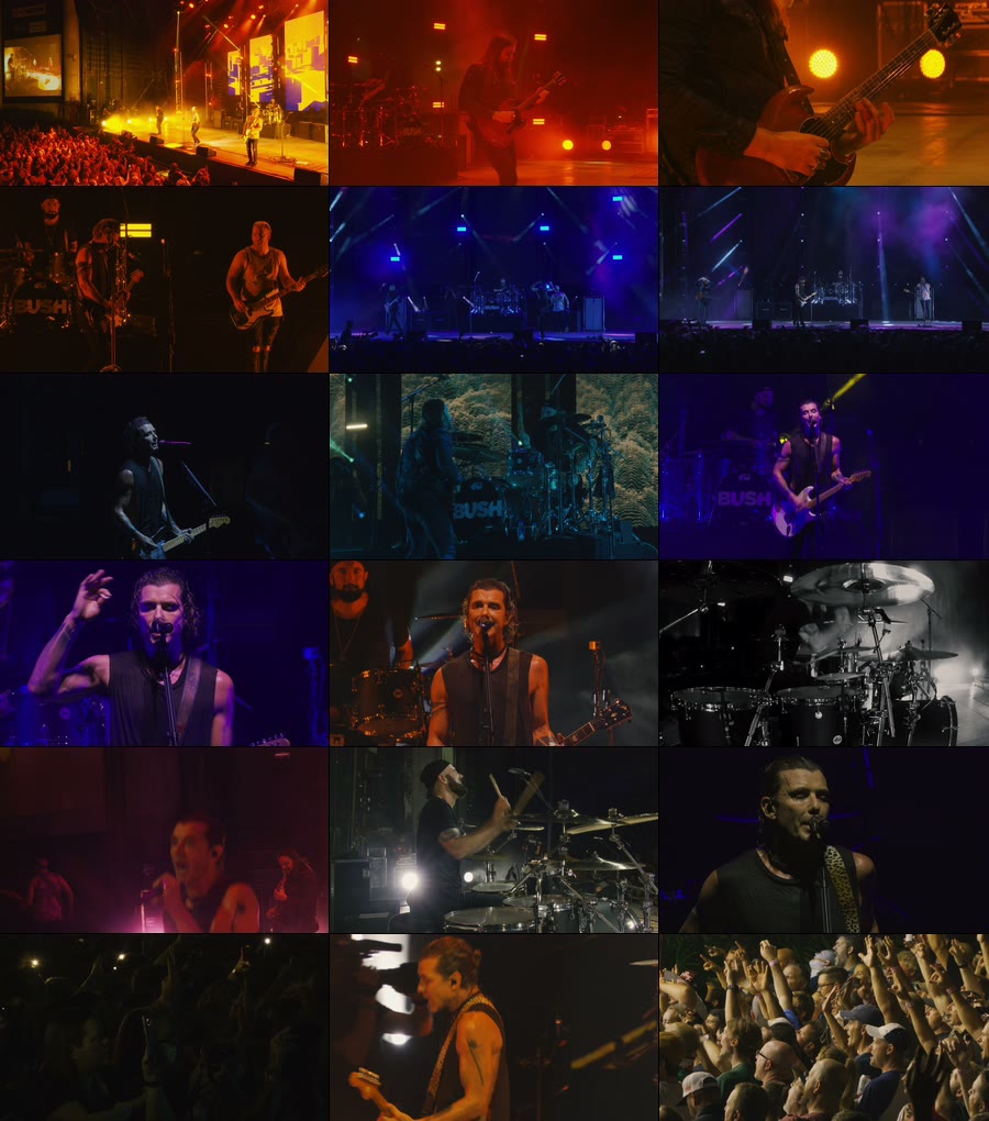Bush 布什 – Live In Tampa (2020) 1080P蓝光原盘 [BDMV 23.1G]Blu-ray、Blu-ray、摇滚演唱会、欧美演唱会、蓝光演唱会6