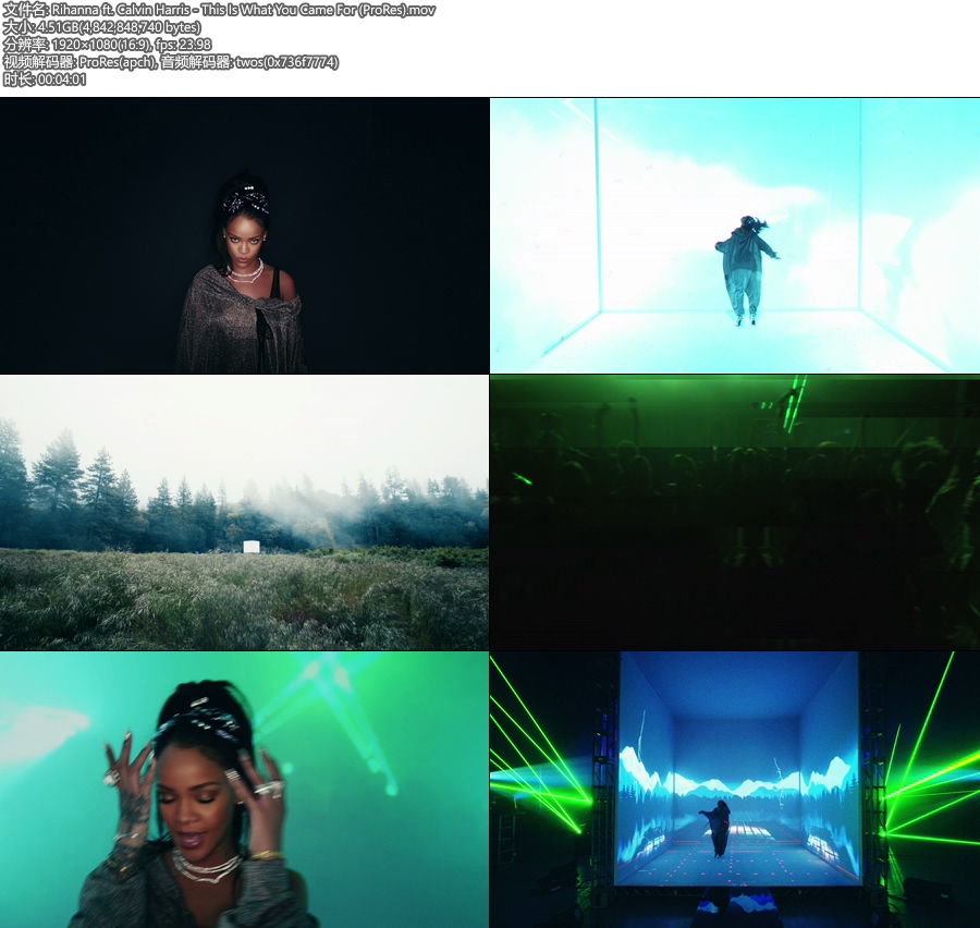 [PR] Rihanna – This Is What You Came For (官方MV) [ProRes] [1080P 4.51G]ProRes、欧美MV、高清MV2