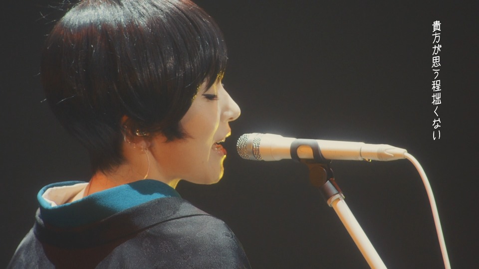 椎名林檎 Shiina Ringo 生 林檎博 18 不惑の余裕 Ringo Expo 18 1080p蓝光原盘 mv 35 2g 哆咪影音