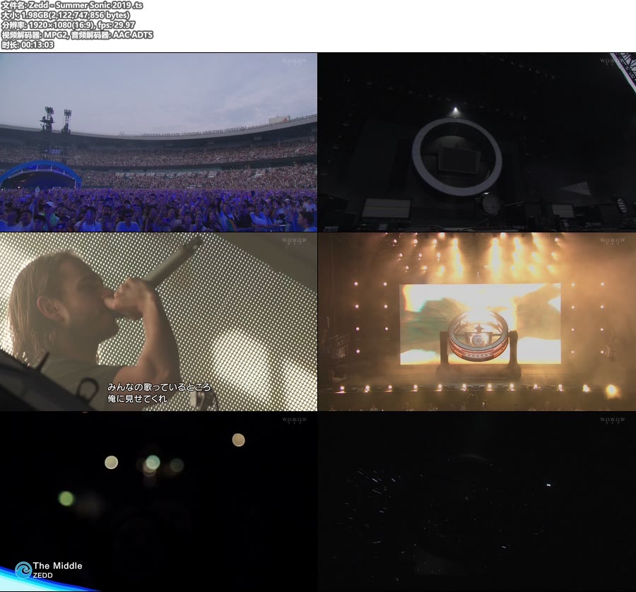 Zedd – Summer Sonic 2019 [HDTV 1080P 1.98G]HDTV、欧美现场、高清MV2