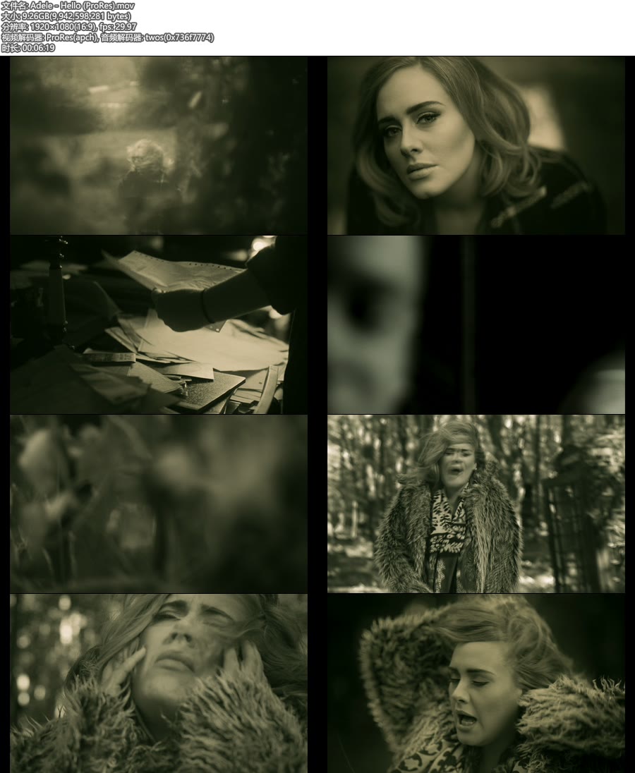 [PR] Adele – Hello (官方MV) [ProRes] [1080P 9.26G]ProRes、欧美MV、高清MV2