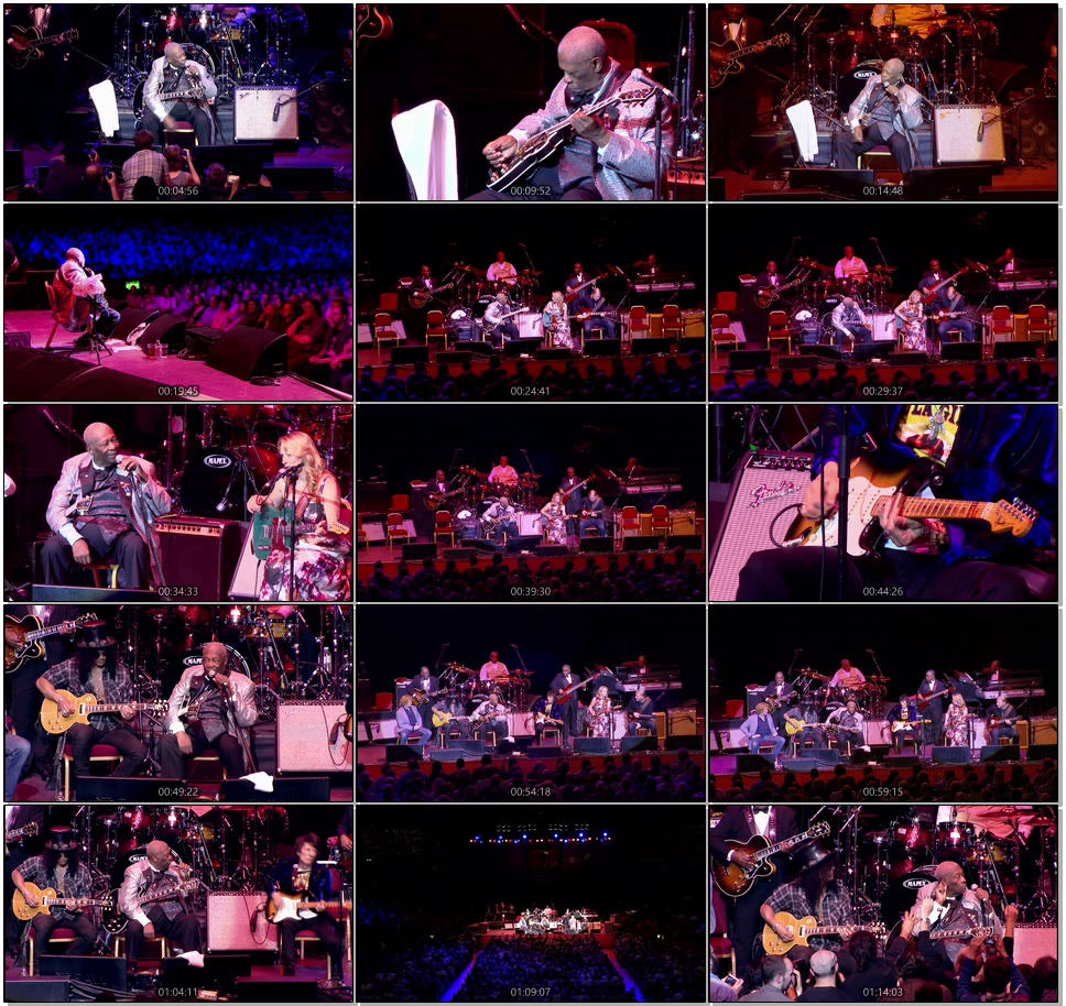 [投稿] B.B. King – Live at Royal Albert Hall 皇家阿尔伯特音乐厅演唱会 (2011) 1080P蓝光原盘 [BDMV 18.1G]Blu-ray、欧美演唱会、蓝光演唱会8