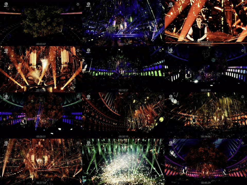 [4K] 比利时电音音乐节 Tomorrowland 2020 (2021) 2160P-WEB [HDR] [MKV 25.5G]4K、欧美演唱会、蓝光演唱会12