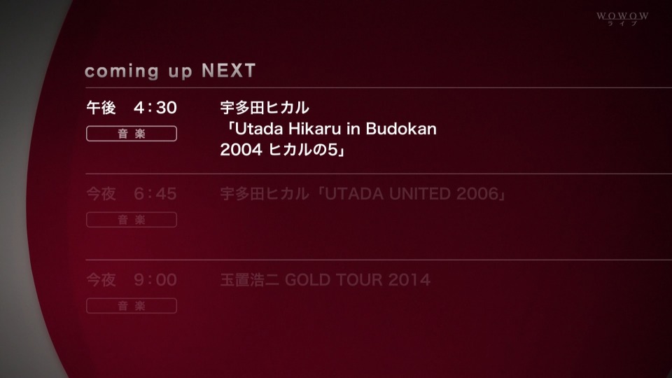 宇多田ヒカル – Utada Hikaru in Budokan 2004 (WOWOW 2014.07.27) [HDTV 20.1G]HDTV、日本现场、音乐现场2