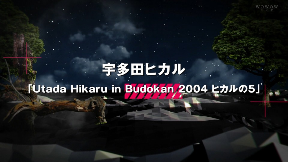 宇多田ヒカル – Utada Hikaru in Budokan 2004 (WOWOW 2014.07.27) [HDTV 20.1G]HDTV、日本现场、音乐现场4