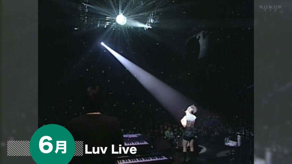 宇多田ヒカル – Luv Live (WOWOW 2014.06.08) [HDTV 11.1G]HDTV、日本现场、音乐现场6