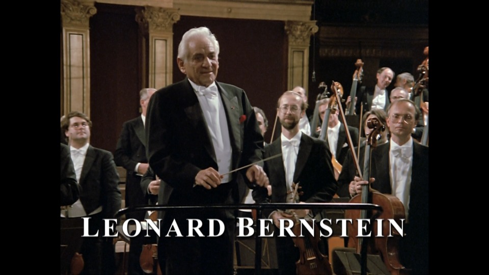 伯恩斯坦 贝多芬四重奏与海顿弥撒 Beethoven String Quartet No.16 & Haydn Missa in Tempore Belli (Leonard Bernstein) (2012) 1080P蓝光原盘 [BDMV 21.1G]Blu-ray、古典音乐会、蓝光演唱会4
