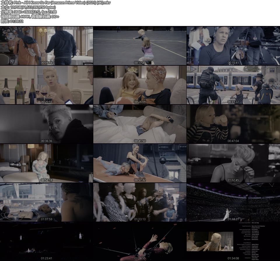 [4K HDR] P!nk – All I Know So Far (Amazon Prime Video) (2021) [WEB 10.7G]4K LIVE、WEB、欧美现场、音乐现场8