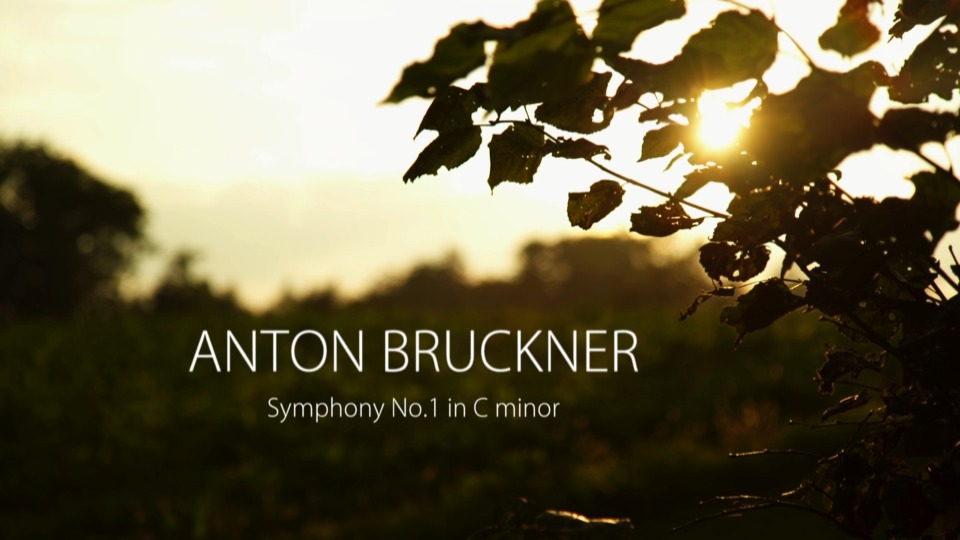 捷杰耶夫 布鲁克纳交响曲全集 Anton Bruckner – The Symphonies, The Story, The Film (Valery Gergiev, Munich Philharmonic) (2020) 1080P蓝光原盘 [4BD BDMV 164.7G]Blu-ray、古典音乐会、蓝光演唱会4