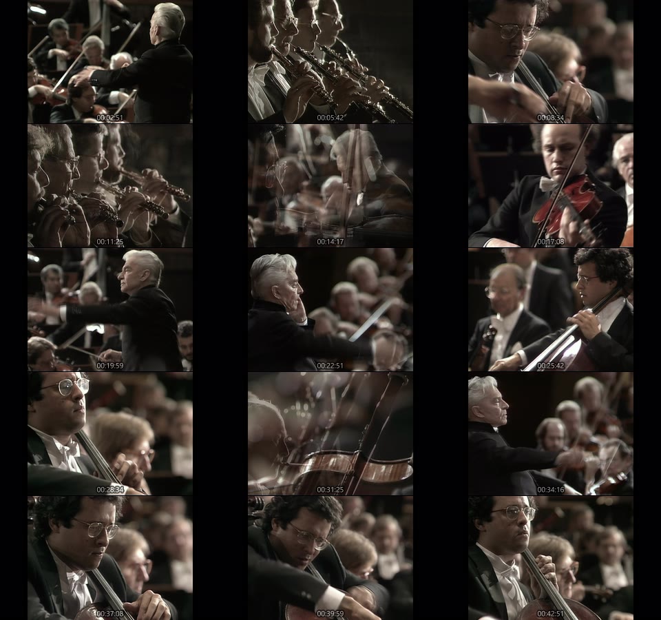 卡拉扬 – 施特劳斯 : 唐吉诃德 Herbert von Karajan & BPO – Richard Strauss Don Quixote (2021) 1080P蓝光原盘 [BDMV 19.4G]Blu-ray、古典音乐会、蓝光演唱会14