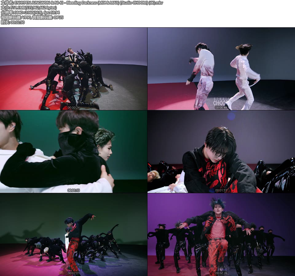 [4K] ENHYPEN JUNGWON & NI-KI – Bleeding Darkness (MIX & MAX) [Studio CHOOM] [2160P 511M]4K MV、WEB、韩国MV、高清MV2
