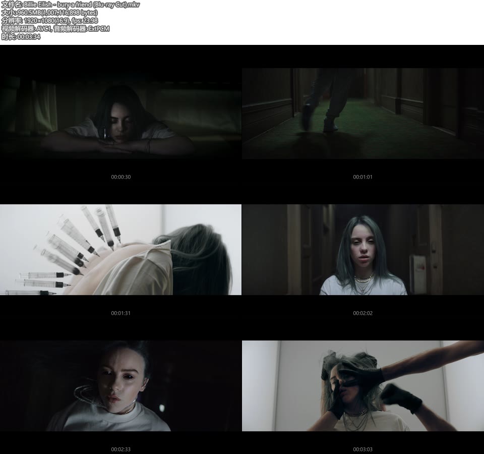 Billie Eilish – bury a friend (官方MV) [Blu-ray Cut 蓝光提取] [1080P 960M]Master、欧美MV、高清MV2