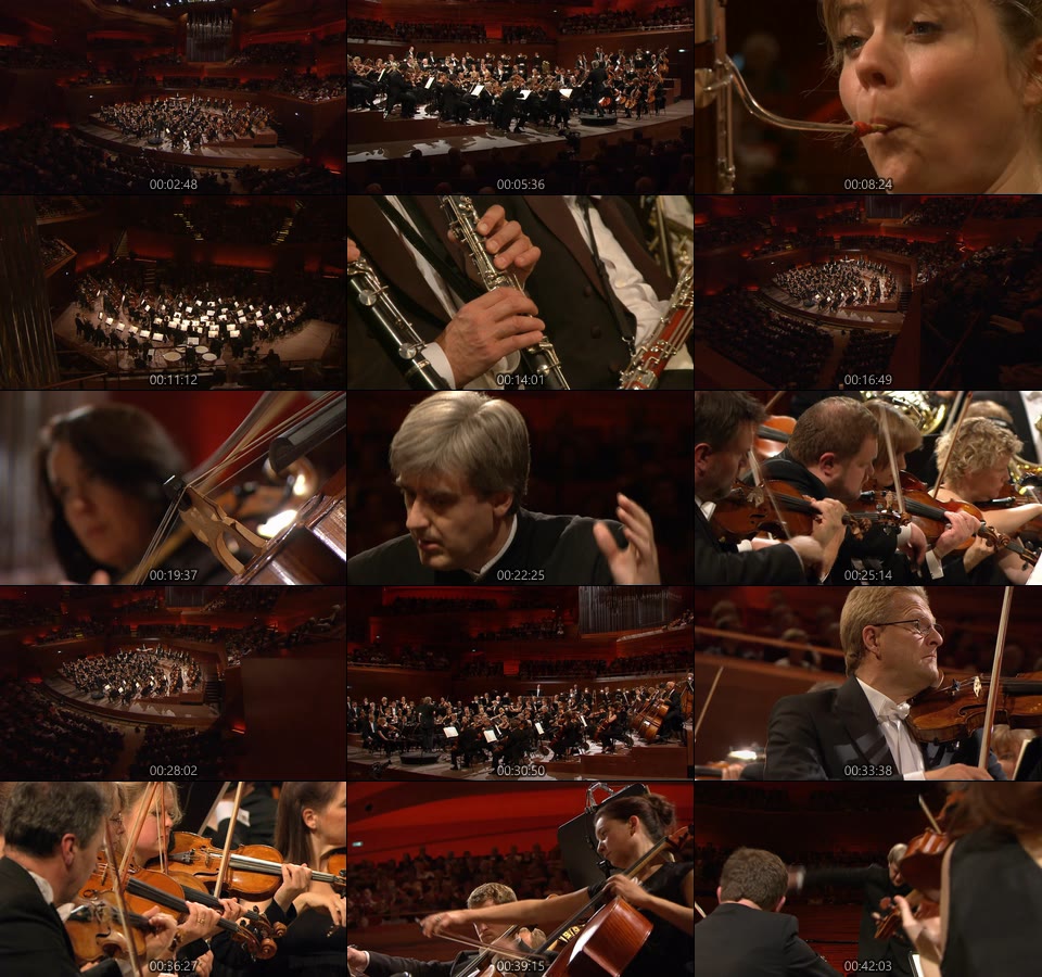丹麦国家交响乐团 勃拉姆斯,德沃夏克,西贝柳斯,尼尔森交响曲 Brahms 1, Dvorak 9, Sibelius 5, Nielsen 3 (2012) 1080P蓝光原盘 [BDMV 22.8G]Blu-ray、古典音乐会、蓝光演唱会14