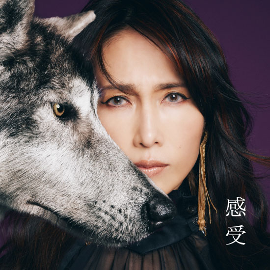 工藤静香– 感受-Shizuka Kudo 35th Anniversary self-cover album
