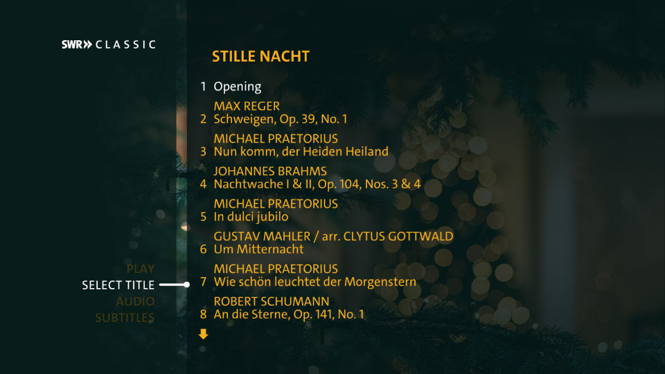 圣诞音乐会 Weihnachtskonzerte / Christmas Concerts 2022 (Marcus Creed, SWR Vokalensemble) (2022) 1080P蓝光原盘 [BDMV 38.4G]Blu-ray、古典音乐会、蓝光演唱会14