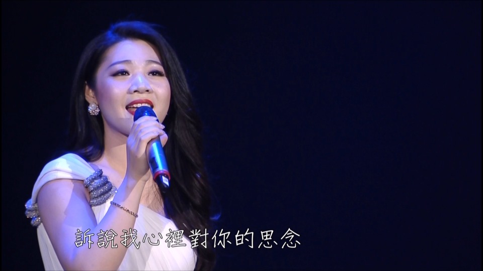 如果能许一个愿：纪念邓丽君演唱会 (华视 2015.05.09) 1080P HDTV [TS 10.4G]HDTV、华语现场、音乐现场6