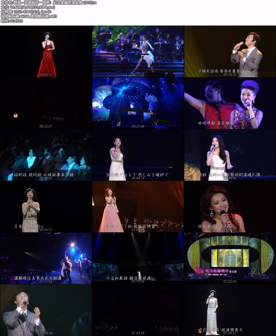 如果能许一个愿：纪念邓丽君演唱会 (华视 2015.05.09) 1080P HDTV [TS 10.4G]HDTV、华语现场、音乐现场12