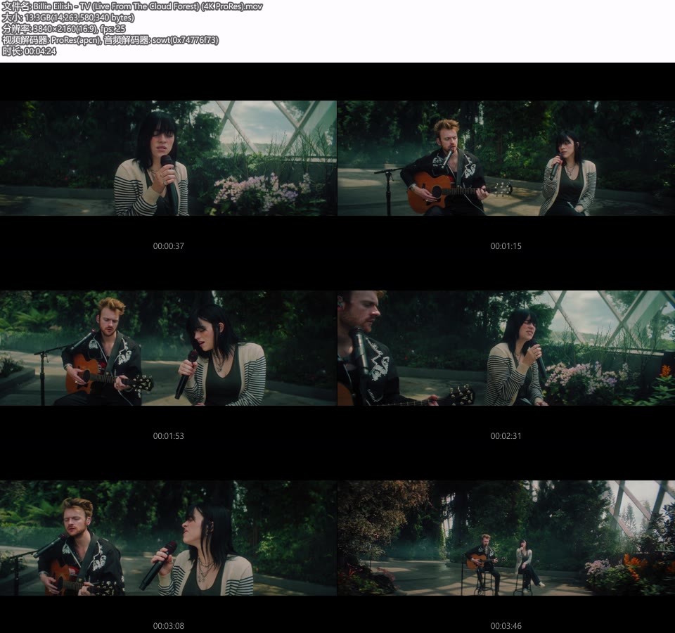 [PR/4K] Billie Eilish – TV (Live From The Cloud Forest) (官方MV) [ProRes] [2160P 13.3G]4K MV、Master、ProRes、欧美MV、高清MV2